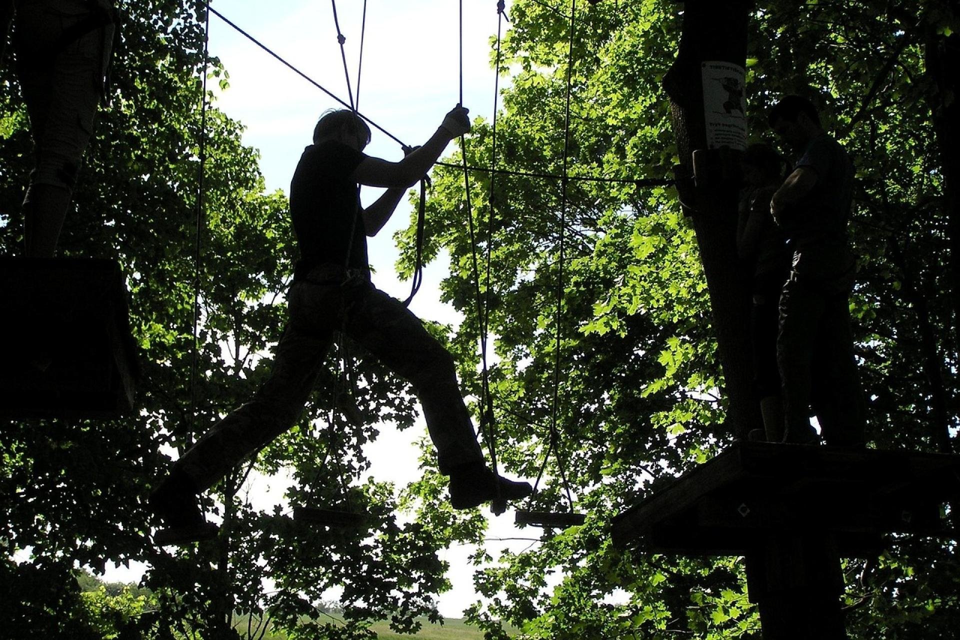 Een man hangt in een touwbrug tussen twee bomen