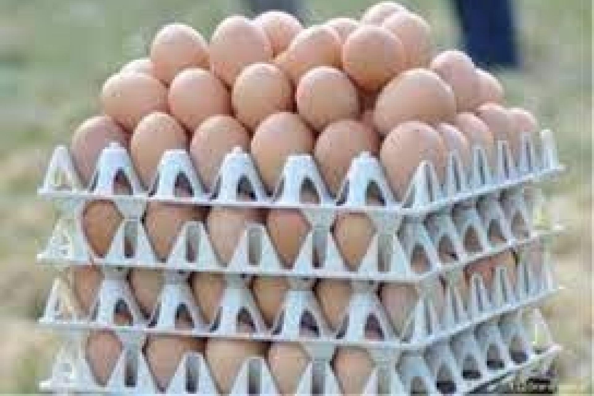 Opgestapelde eieren